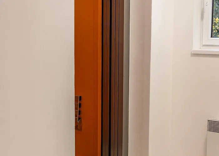 251